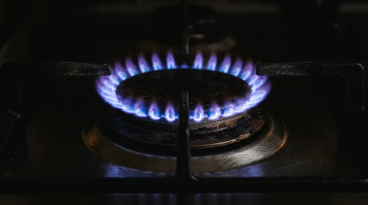 Corona di fiamme blu su un fornello domestico, immagine simbolo del gas negli impianti di casa